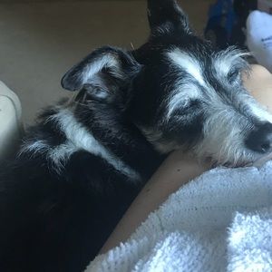 Meet your Posher, Casey